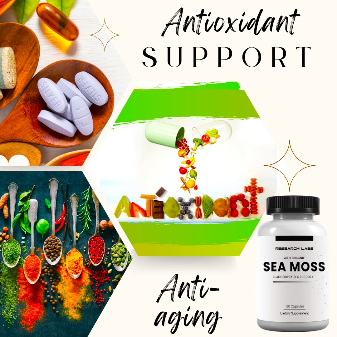 Research Labs 2 Fer 1 Ad Organic Irish Sea Moss Capsules 240 Total Pills, Raw Wildcrafted Seamoss Enhanced w/Bladderwrack & Burdock Root Antioxidant Powerhouse. Thyroid Support Research LabsBuy Supplements Australia