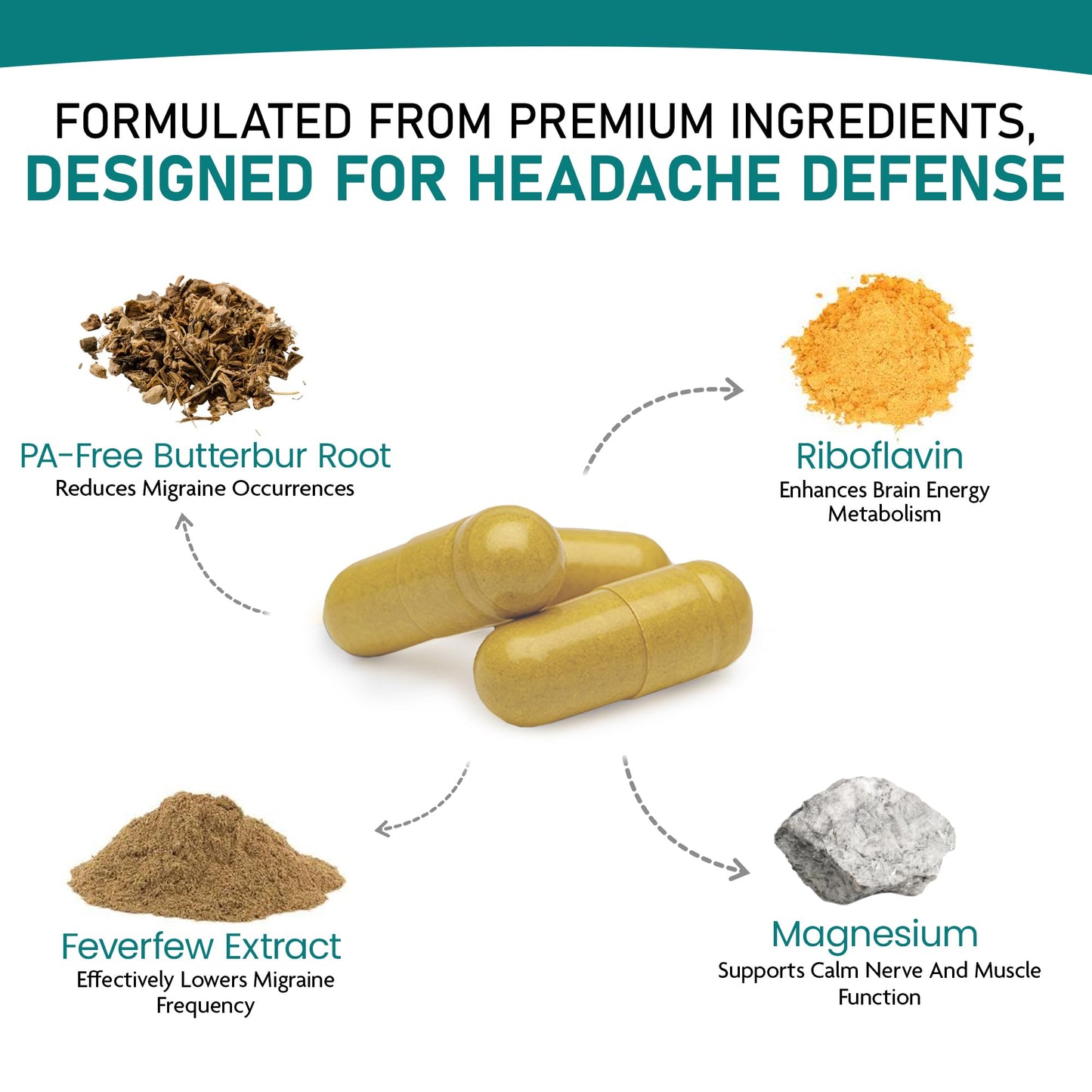 Nature's Nectar Migraine Prevention Feverfew Capsules – PA Free Butterbur Root, Riboflavin 400 mg, Magnesium & Feverfew – Natural Migraine Supplement – 60 Capsules Nature's NectarBuy Supplements Australia