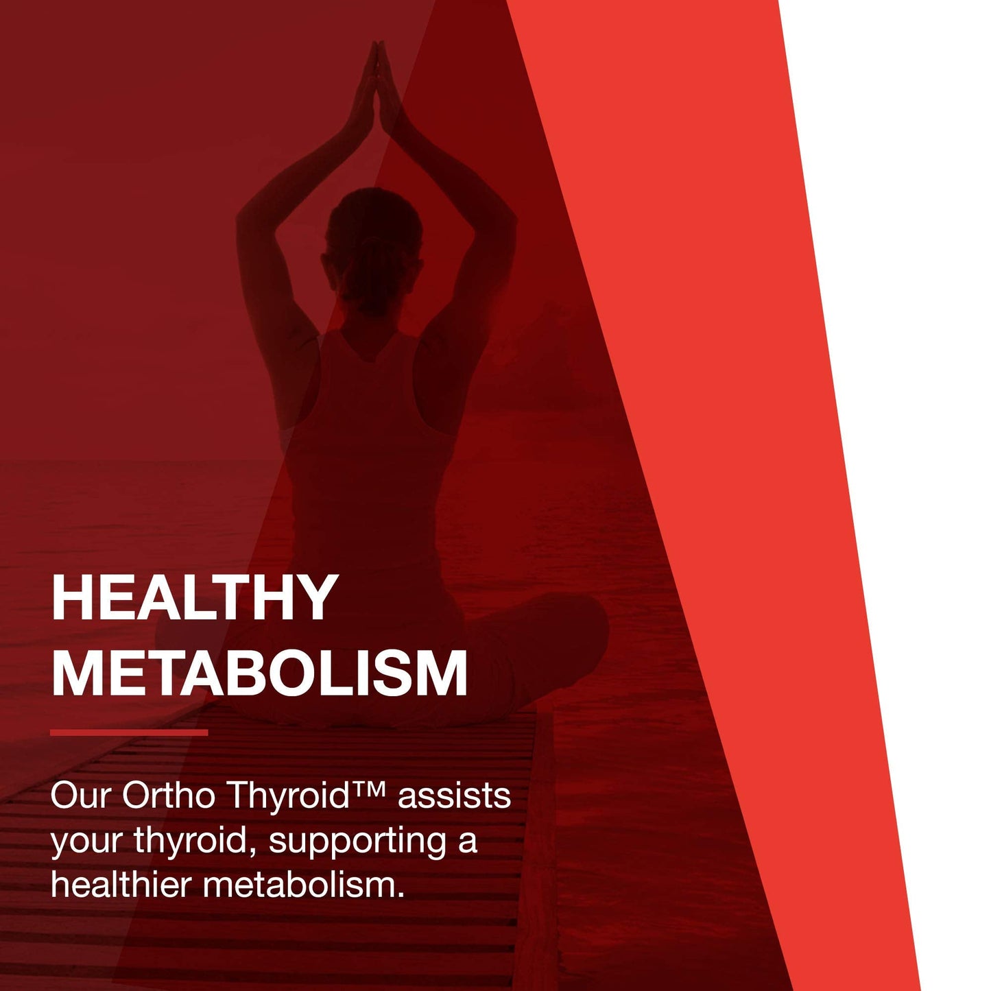 PROTOCOL FOR LIFE BALANCE Ortho Thyroid - Supports Healthy Thyroid Function* - with Ashwagandha, Zinc & Selenium - Non-GMO & Kosher - 90 Veg Capsules PROTOCOL FOR LIFE BALANCEBuy Supplements Australia