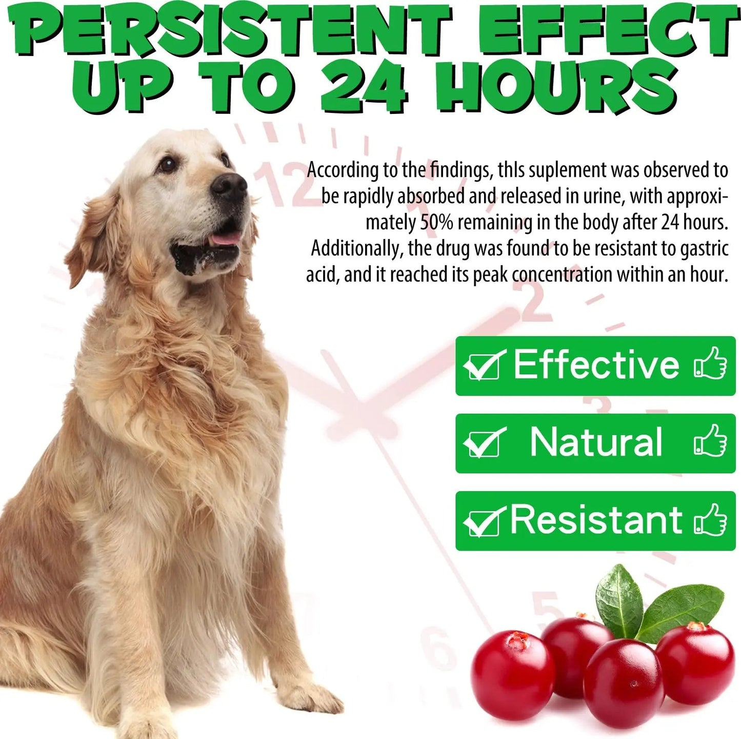Dog UTI Treatment - Urinary Tract Infection Treatments, Kidney+Bladder Support Supplement, Natural Cranberry Extract for Dogs, Supports Urinary and Digestive Health (2 Fl Oz (Pack of 2)) OnznozBuy Supplements Australia