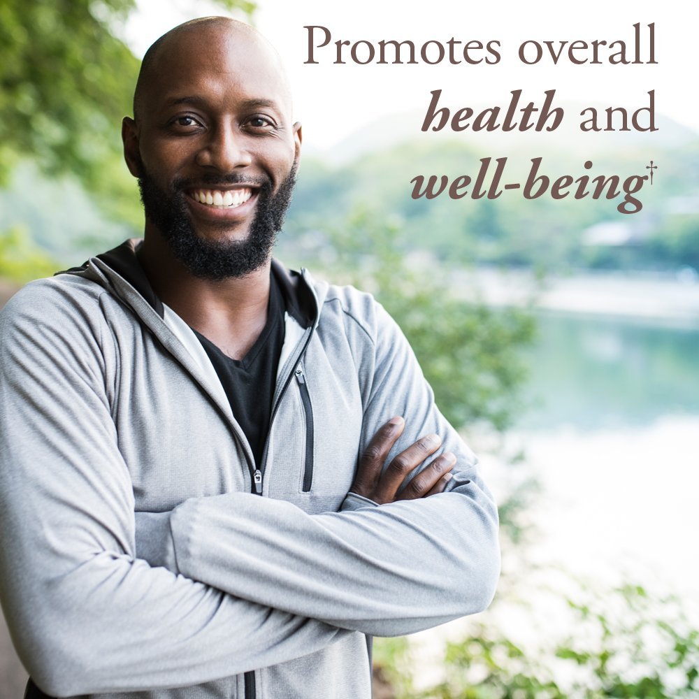 Garden of Life Organics Whole Food Multivitamin for Men 40+ 120 Tablets, Vegan Mens Multi for Health Garden of LifeBuy Supplements Australia