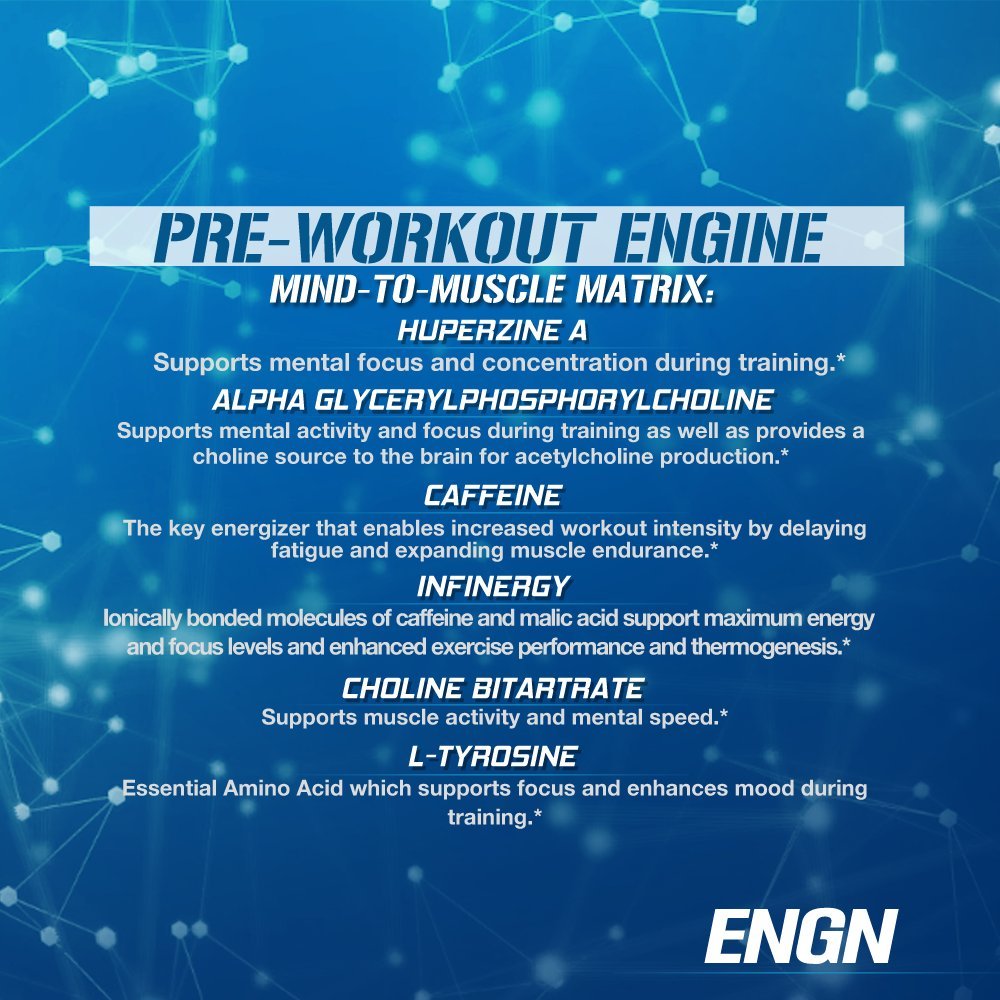 EVL Intense Pre Workout with Creatine - Pre Workout Powder Drink for Lasting Energy Focus EvlutionBuy Supplements Australia