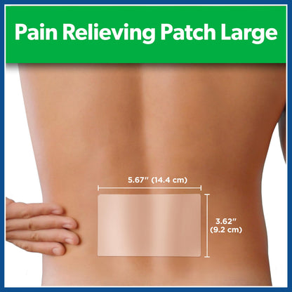Salonpas Pain Relieving Patch, Large, 6 Count, for Back, Neck, Shoulder, Knee Pain and Muscle Soreness, 8 Hour Pain Relief SalonpasBuy Supplements Australia