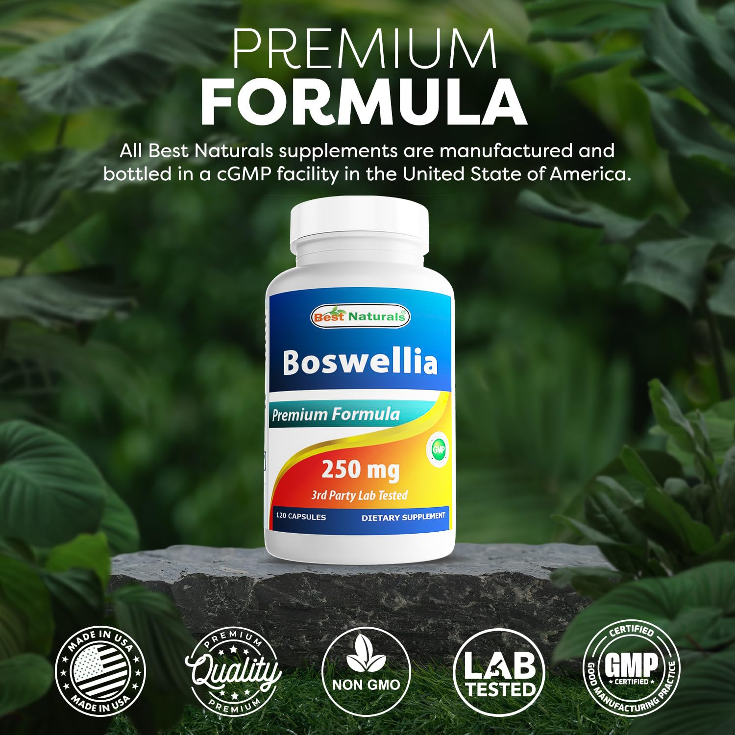 Best Naturals Boswellia Serrata Joint Health 250 mg 120 Capsules - Standardized to 65% Boswellic Acid (120 Count (Pack of 3)) Best NaturalsBuy Supplements Australia