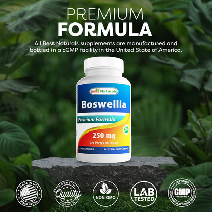 Best Naturals Boswellia Serrata Joint Health 250 mg 120 Capsules - Standardized to 65% Boswellic Acid (120 Count (Pack of 3)) Best NaturalsBuy Supplements Australia