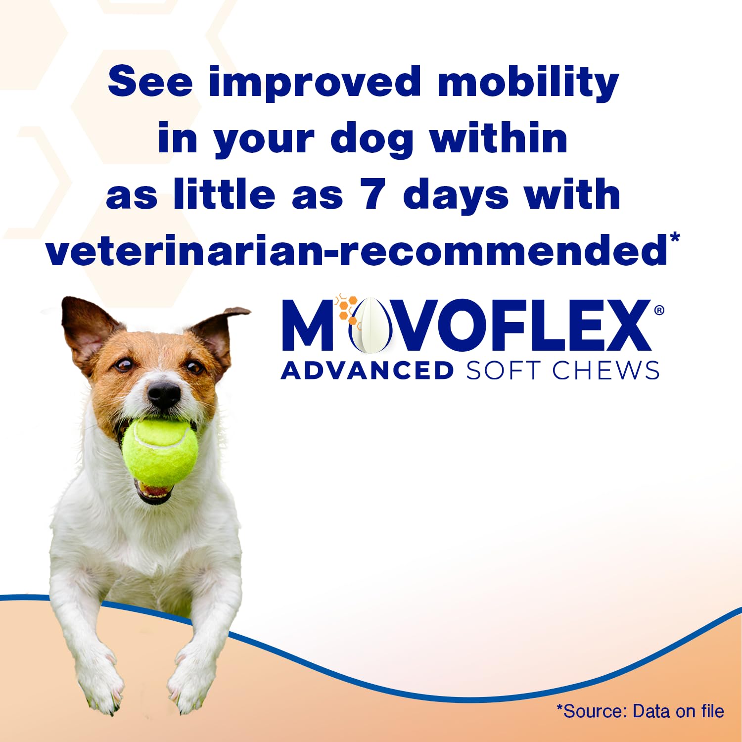 MOVOFLEX Advanced Soft Chews Hip Joint Support Supplement for Large Dogs 60 Count by Virbac MOVOFLEXBuy Supplements Australia