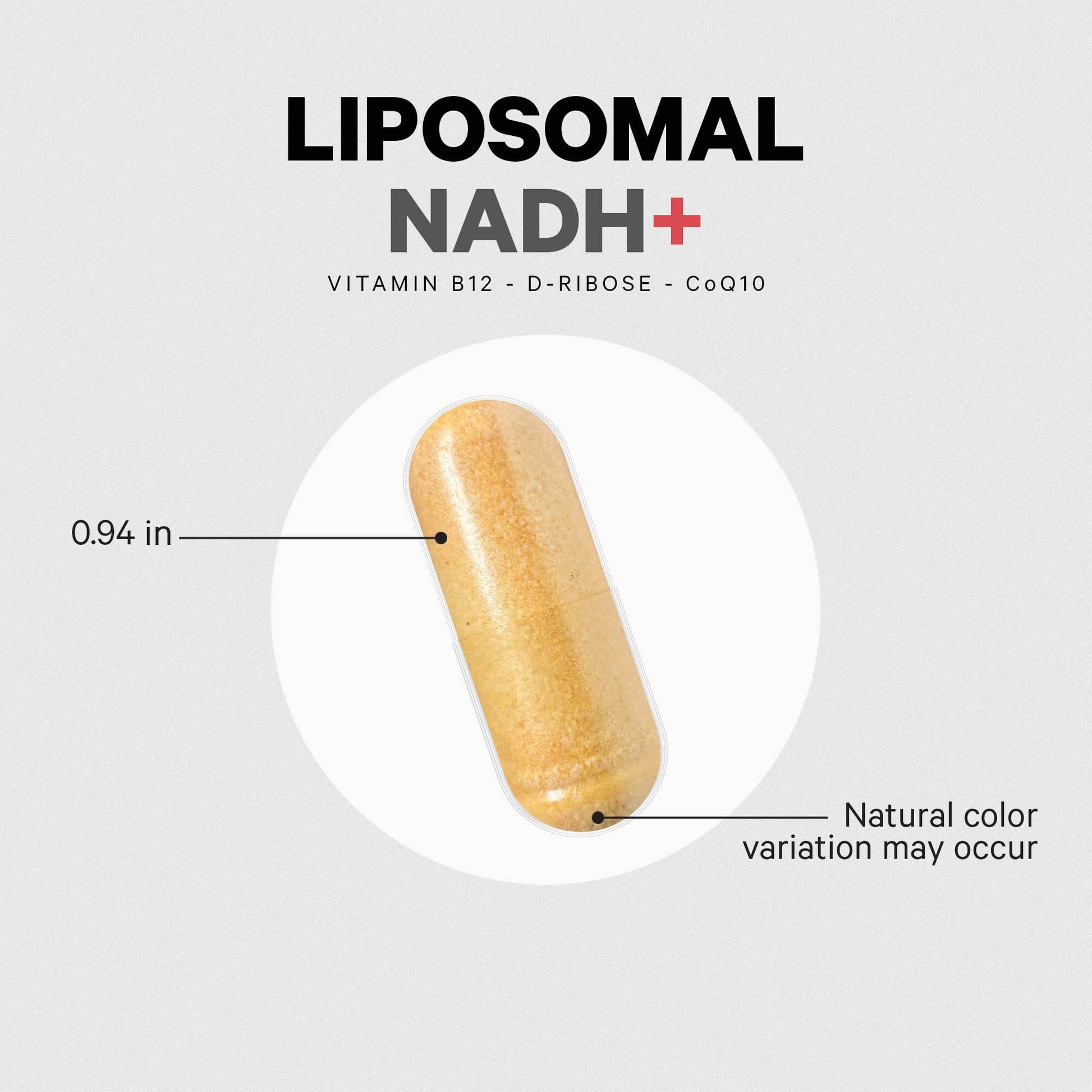 Codeage Liposomal NADH+ Supplement - CoQ10 - Vitamin B12 - D-Ribose Bioenergy CodeageBuy Supplements Australia