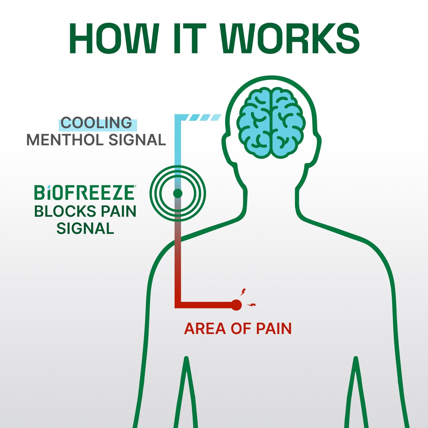 Biofreeze Professional Pain Relief Roll On, Knee & Lower Back Pain Relief, Arthritis Pain Reliever, Neck Pain Relief, Cooling Joint Pain Relief, Roll-On Menthol Gel 3 Fl Oz (Pack of 2) BiofreezeBuy Supplements Australia