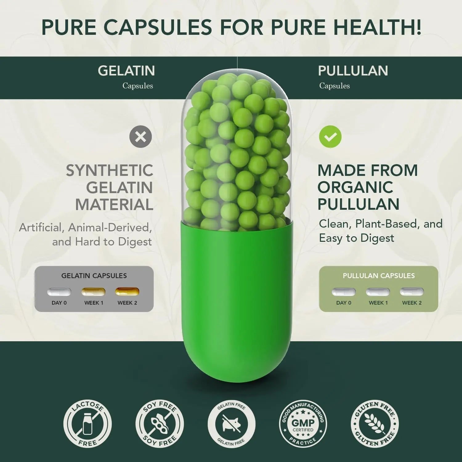 40 Plus Multivitamin for Women & Men with Vitamin A, D, B6, B12, E, Zinc, Magnesium, Calcium - Vegan, Gluten Free Elements of LIfe