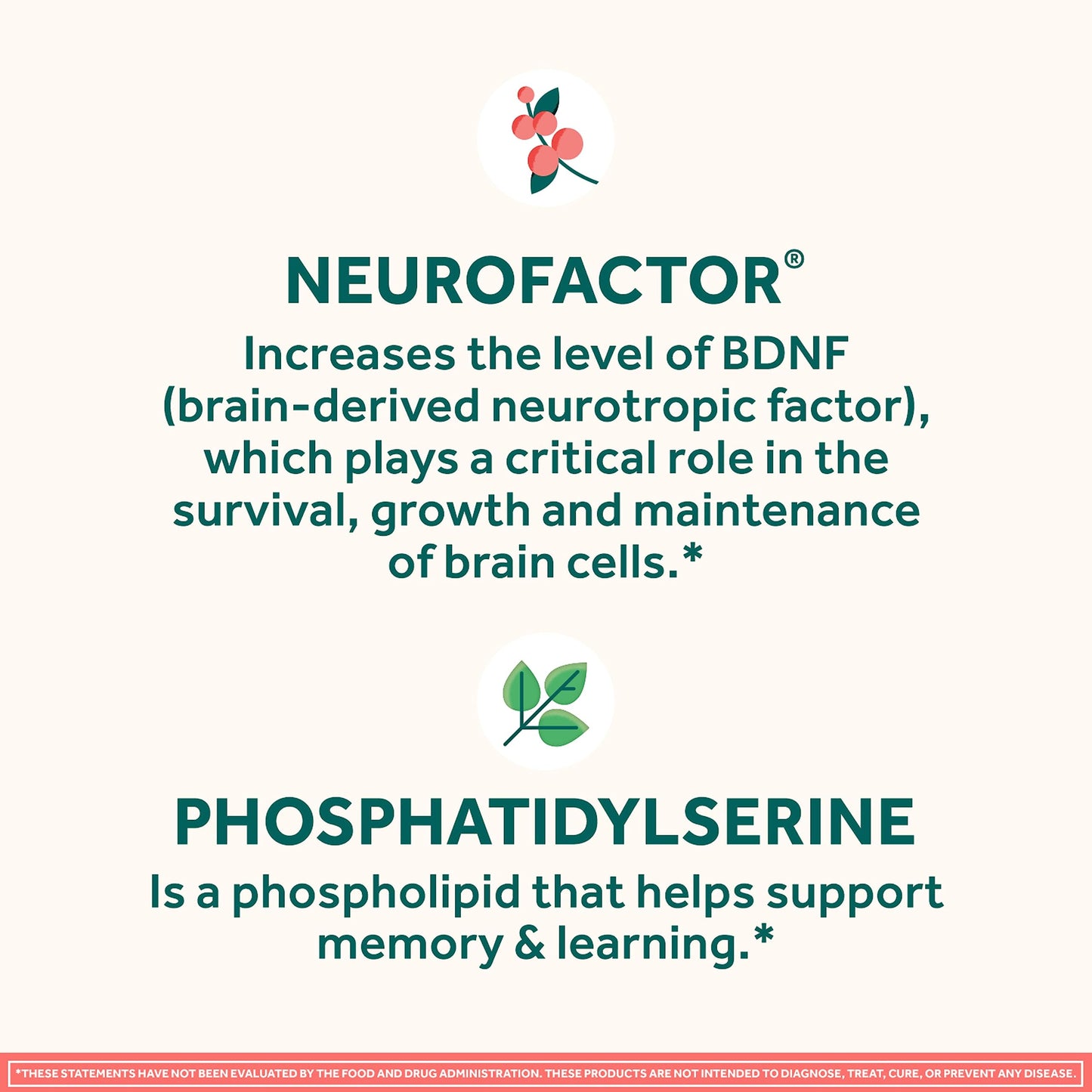 NEURIVA Original Decaffeinated Clinically Tested Nootropic Brain Supplement for Memory, Focus & Concentration, NeuroFactor & Phosphatidylserine, 28ct Capsules NEURIVABuy Supplements Australia