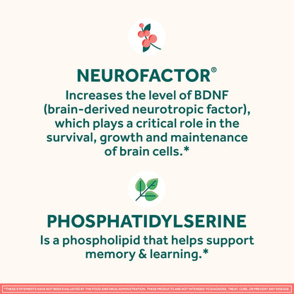NEURIVA Original Decaffeinated Clinically Tested Nootropic Brain Supplement for Memory, Focus & Concentration, NeuroFactor & Phosphatidylserine, 28ct Capsules NEURIVABuy Supplements Australia