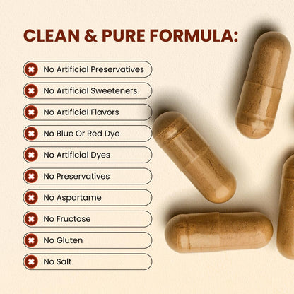 CHOQ Armor - Vegan Capsules - Professional-Grade Immune Defense - 20x Absorption Quercetin Phytosome - Andrographis - Astragalus - Supports Healthy Histamine Levels CHOQBuy Supplements Australia