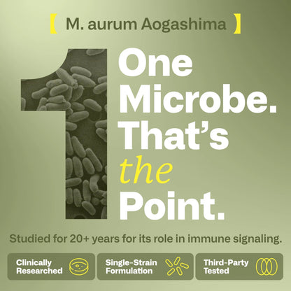 IMMY Immune Supplement for Mood Support and Gut Health, 30 ct. - Supports Joint Relief, Focus & Mood Support, Natural Calming Aid IMMY