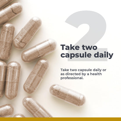Premier Research Labs GastroVen - Digestive Enzymes for Women & Men, Digestive Health Supplement, Supports Healthy Gut Microbiome w/Bromelain, Ginger - 60 Capsules Premier Research LabsBuy Supplements Australia