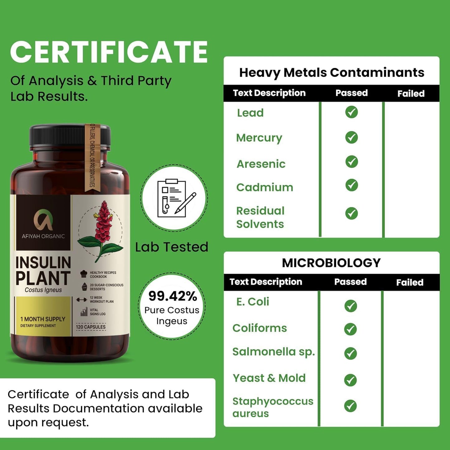 Afiyah Organic - Premium Quality Costus Igneus (Insulin Plant) Capsules - Easy to Swallow 120 Veggie Capsules (1 Month Supply) - Made in the USA - Including Complete Health Support Program Afiyah OrganicBuy Supplements Australia