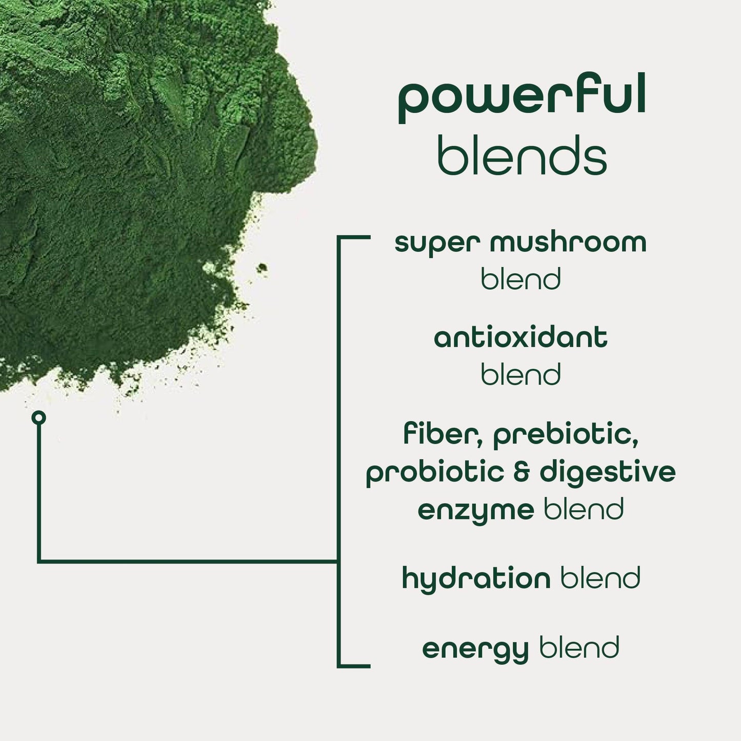 Zena Nutrition Organic Super Greens Energy & Hydration Powder, 70+ Superfoods, 0 Sugar, 5G Fiber, Spirulina, Chlorella, Prebiotics/Probiotics, Natural Caffeine + Electrolytes, 40 Drink Mix Packets Zena NutritionBuy Supplements Australia