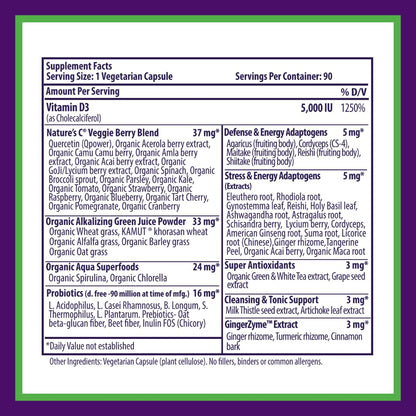 Paradise Herbs Earth's Blend Vitamin D3, Superfoods Base of Probiotics and Organic Alkalizing Greens, Veggies & Berries, 90 Vegetarian Capsules Paradise HerbsBuy Supplements Australia