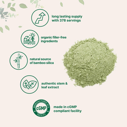 Micro Ingredients Organic Bamboo Extract Powder, 8oz (378 Servings) | Bamboo Plant Silica & Mineral Supplements | Natural Stem & Leaf Extract | Non-GMO, Gluten Free, Vegan Friendly Micro IngredientsBuy Supplements Australia