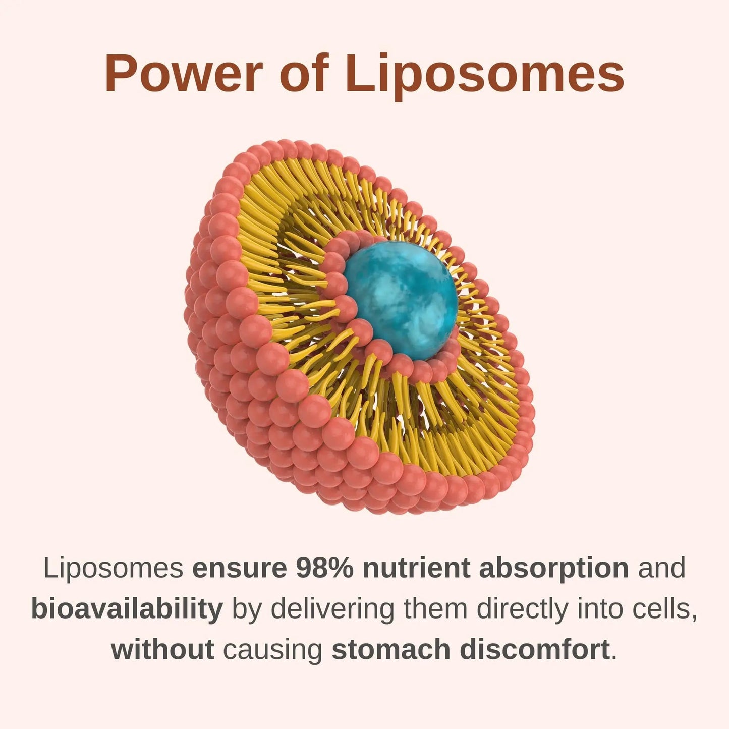Vitaminally Liposomal Men's 50+ Liquid Multivitamin Drops | Non-GMO | Sugar Free | Gluten Free | 30 Day Supply | 3 FL Oz | Vitaminally