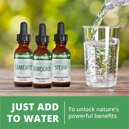 Nutramedix Nutra BRL - Liquid Herbal Supplement for Gut Health & Immune Support - Samento & Banderol for Digestive Health - Immune System Booster Supplement (60mL) NutraMedixBuy Supplements Australia