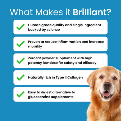 Hofseth BioCare Brilliant Bone & Joint Supplement for Dogs - High Strength Calcium & Collagen Powder for Joint & Hip Support, Essential Supplement for Dog’s of All Ages - 10.6 Oz Hofseth BioCareBuy Supplements Australia