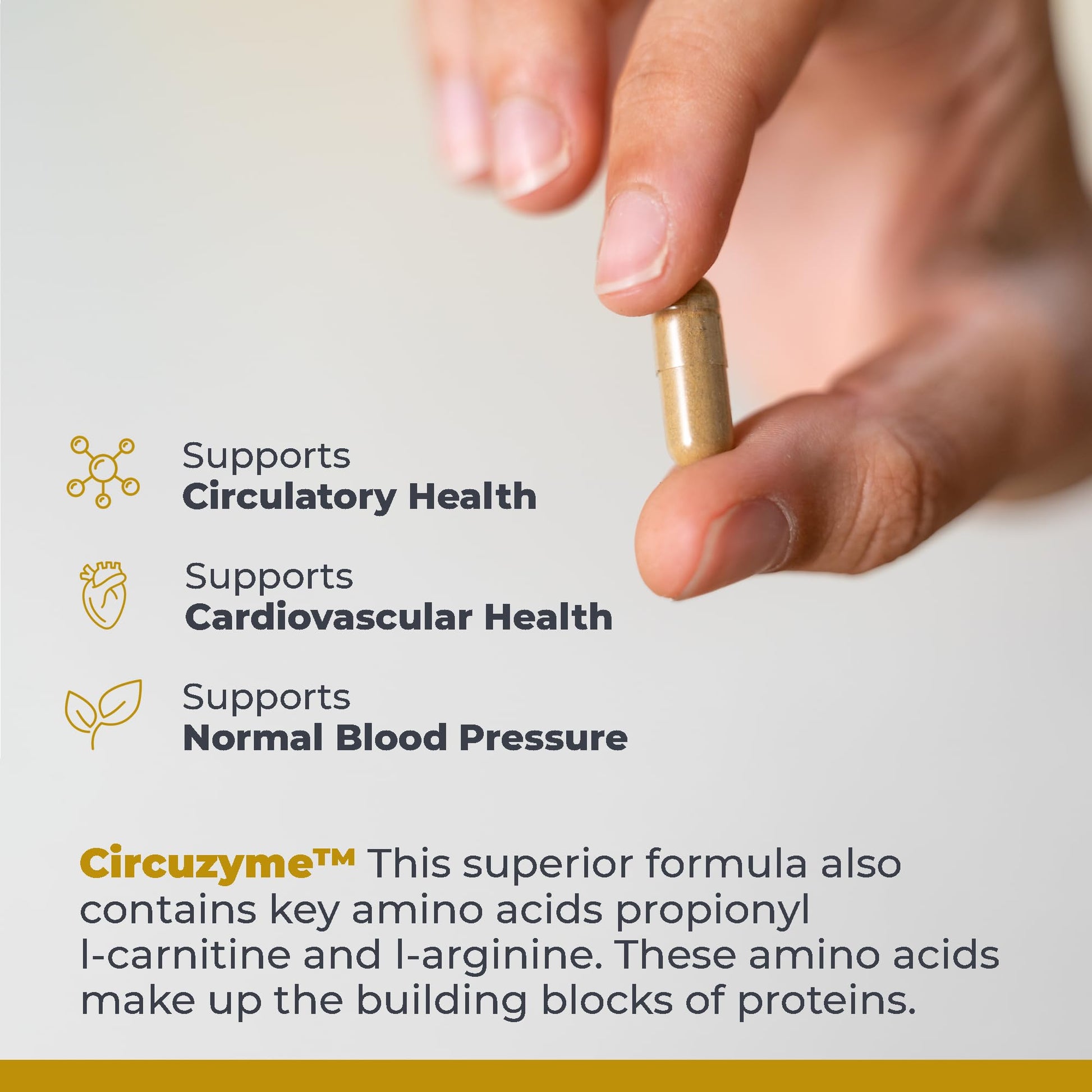 Premier Research Labs CircuZyme - Blood Circulation Supplements Supporting Blood Flow & Vascular Support Featuring Diosmin, Cayenne & Nattokinase, for Men and Women - 60 Vegetarian Capsules Premier Research LabsBuy Supplements Australia