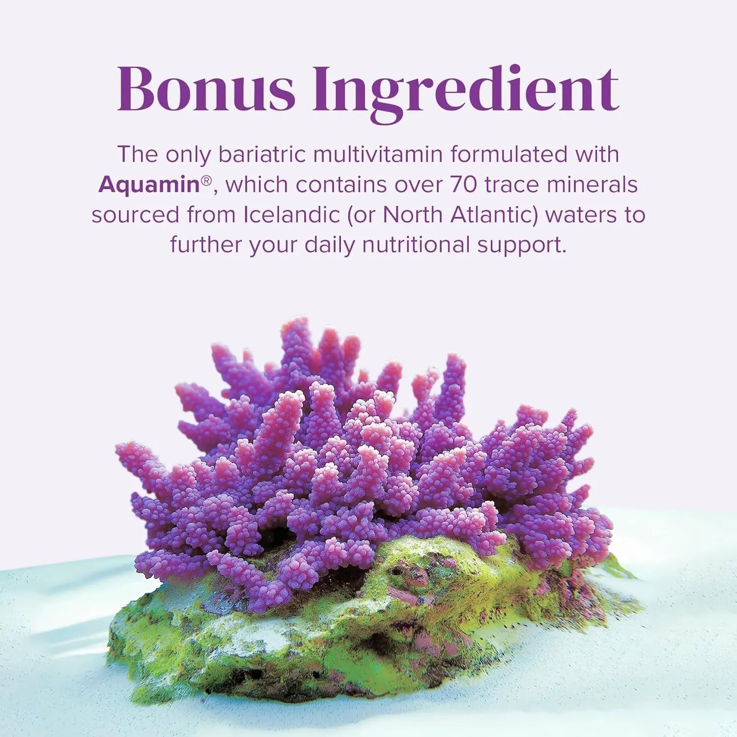 BariMelts Once Daily Bariatric Multivitamin with Iron, 60 Easy-Swallow Caplets (2-Month Supply), Multivitamin for Women, Multimineral Complex BariMelts