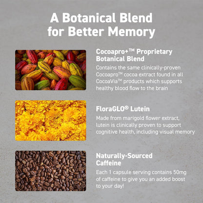 CocoaVia Memory & Focus Brain Supplement, 90 Day, Cocoa Flavanol Blend, Lutein, Added Caffeine for Boost. Improve Cognitive Function, Attention, Vegan & Plant Based, 90 Capsules CocoaViaBuy Supplements Australia