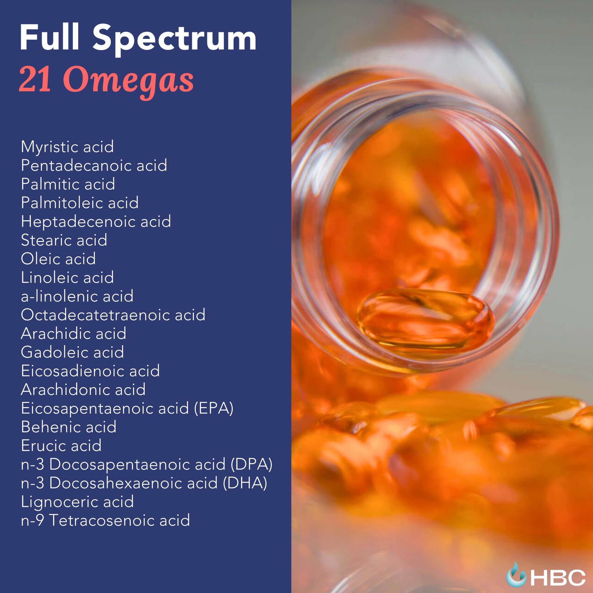 High Strength Omega 3 Fish Oil - 1000mg, Norwegian Salmon Oil with EPA & DHA, No Burping or Aftertaste, Omega 3 Fatty Acids Supplement for Eye, Brain & Heart, Triglyceride Form - 180 Capsules Hofseth BioCareBuy Supplements Australia