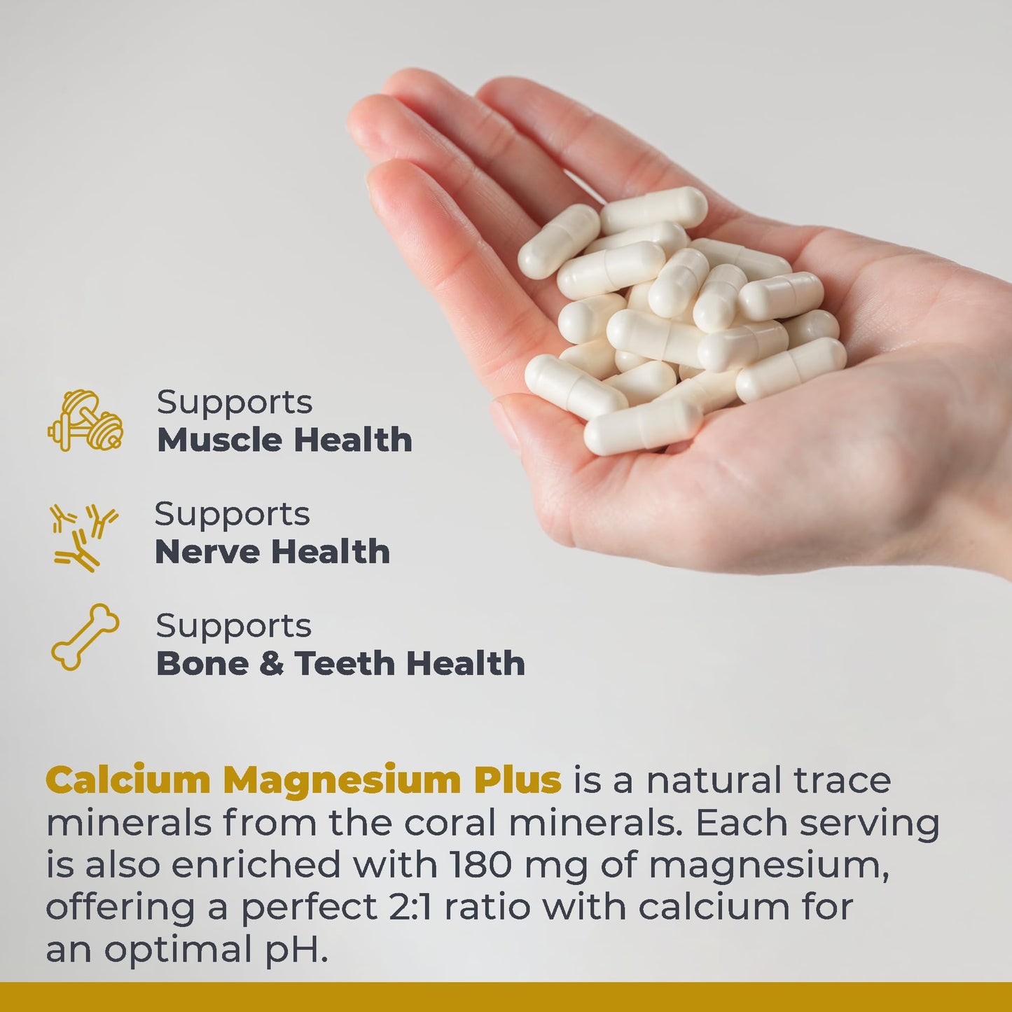Premier Research Labs Calcium Magnesium Plus - Calcium Magnesium Supplement, Calcium Supplement for Bone Health, with Mushroom Complex - Reishi & Lions Mane - 90 Vegetarian Capsules Premier Research LabsBuy Supplements Australia
