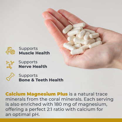 Premier Research Labs Calcium Magnesium Plus - Calcium Magnesium Supplement, Calcium Supplement for Bone Health, with Mushroom Complex - Reishi & Lions Mane - 90 Vegetarian Capsules Premier Research LabsBuy Supplements Australia