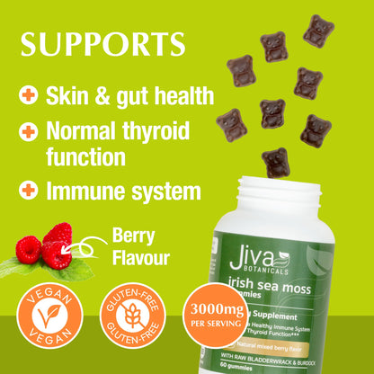 Jiva Botanicals - Irish Sea Moss Gummies with Bladderwrack & Burdock Root 3000mg Jiva BotanicalsBuy Supplements Australia