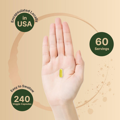 Berberine Supplement 500mg Per Capsule (2,000mg Per Serving) | 240 Veggie Capsules, 97% Pure Berberine HCL – Plant Based, Vegan, Non-GMO NatureBellBuy Supplements Australia
