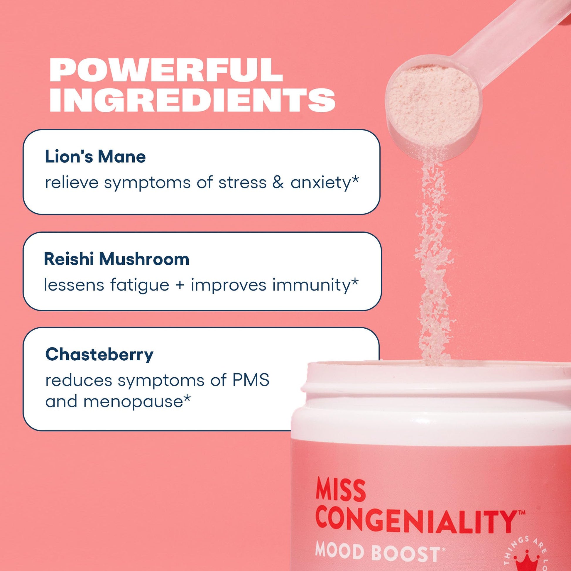 Love Sweat Fitness Mood & Stress Support Supplement for Women | Ashwagandha, B Vitamins & Magnesium Powder | Focus, Calm & Balance | Miss Congeniality Vanilla | Vegan, Non-GMO | 28 Servings Love Sweat FitnessBuy Supplements Australia
