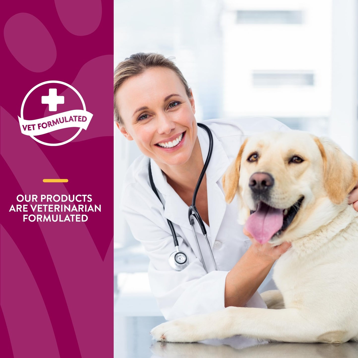 NaturVet – Glucosamine DS Plus - Level 2 Moderate Care – Supports Healthy Hip & Joint Function – Enhanced with Glucosamine, MSM & Chondroitin – for Dogs & Cats – 240 Soft Chews NaturVetBuy Supplements Australia