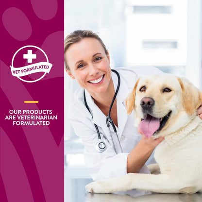 NaturVet – Glucosamine DS Plus - Level 2 Moderate Care – Supports Healthy Hip & Joint Function – Enhanced with Glucosamine, MSM & Chondroitin – for Dogs & Cats – 240 Soft Chews NaturVetBuy Supplements Australia