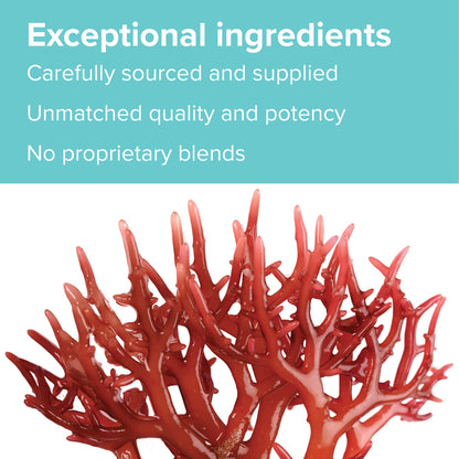 Vibrant Health, Gigartina Red Marine Algae, Plant-Based Immune Support, 60 Capsules Vibrant HealthBuy Supplements Australia
