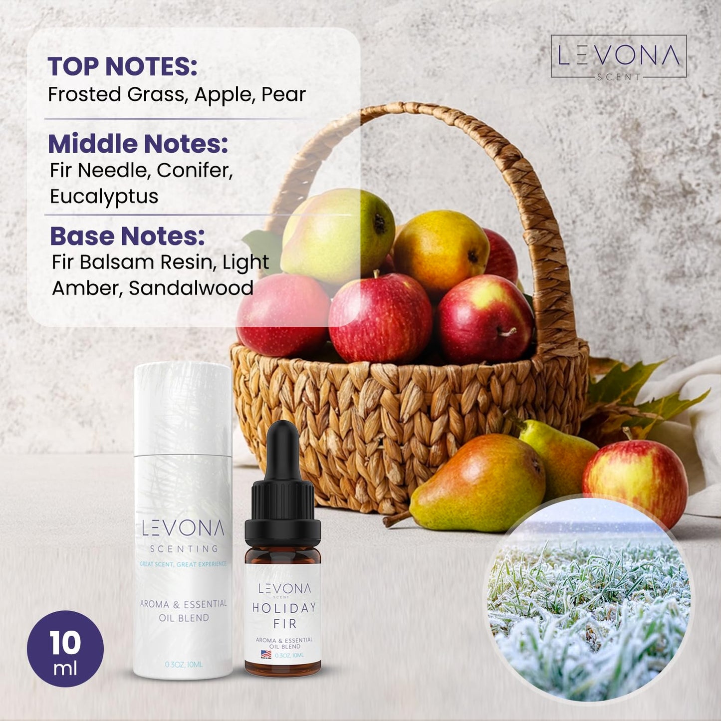 Levona Scent Christmas Essential Oils for Diffuser: Holiday Fir Essential Oil for Diffusers for Home LEVONA SCENTBuy Supplements Australia