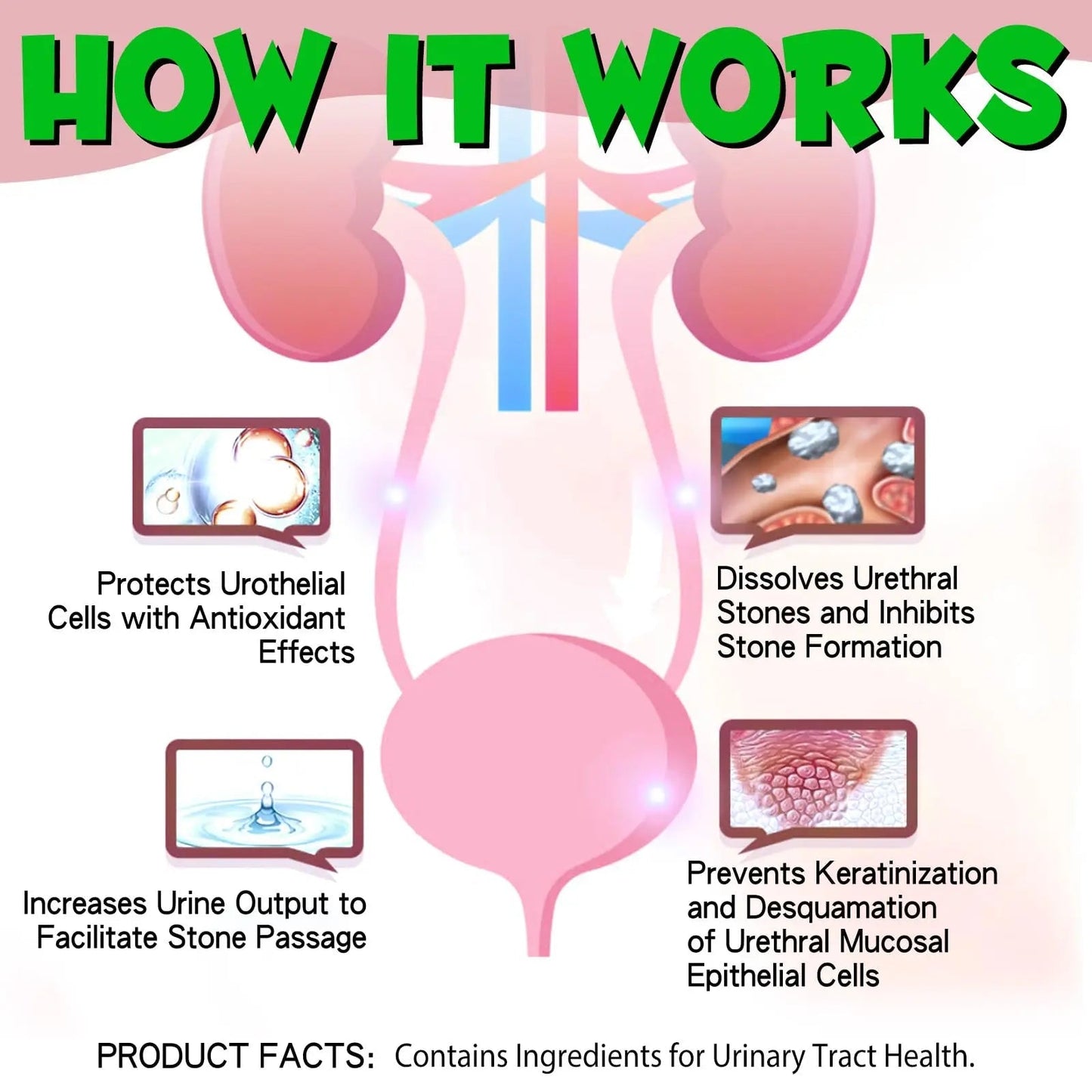Cat Urinary Tract Infection Treatment, Cat UTI Treatment Drops Supports Bladder, Kidney Stone, Cranberry Kidney Bladder Support Supplement, Chicken Flavor, 60ml BTQAFVZTBuy Supplements Australia