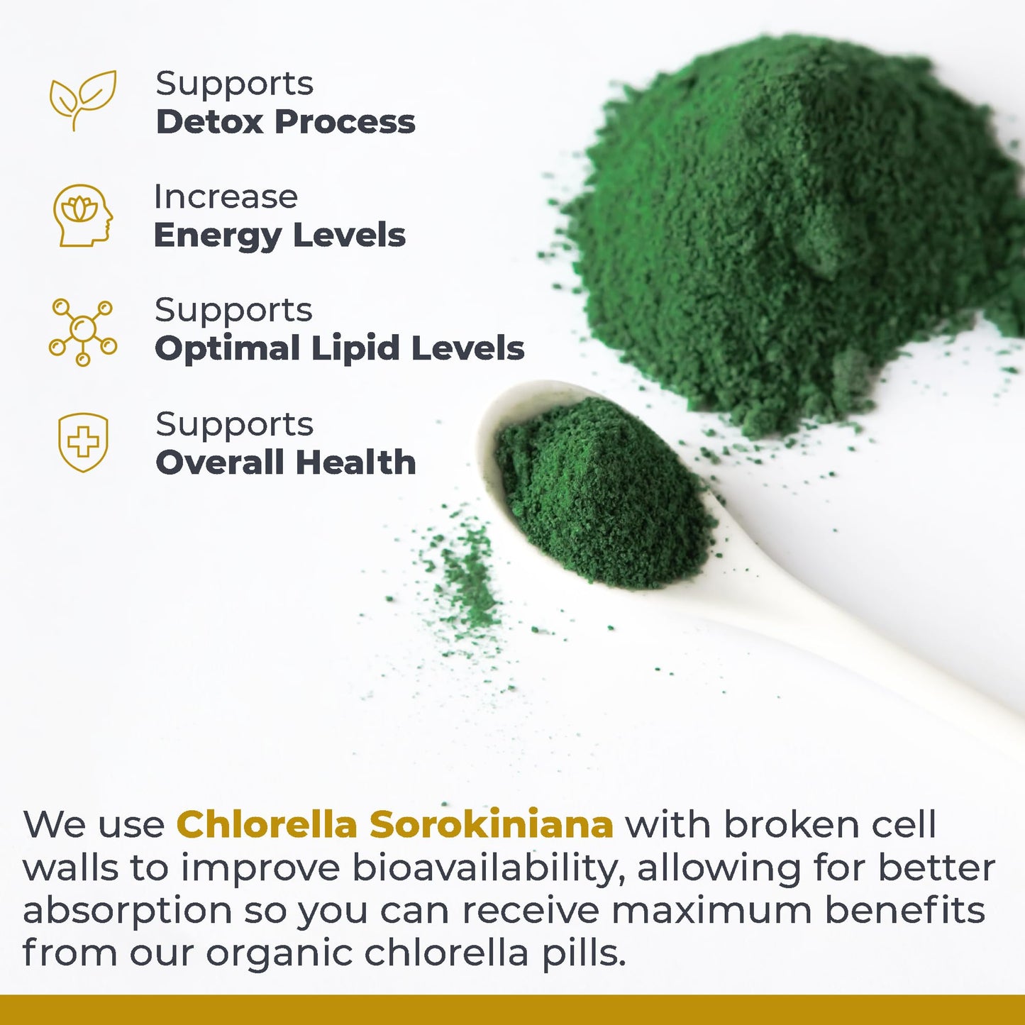 Premier Research Labs Medi Chlorella-FX - Chlorella Capsules, Chlorophyll Capsules, Organic Pills for Women & Men, Chlorophyll Supplement - 120 Vegetarian Capsules Premier Research LabsBuy Supplements Australia