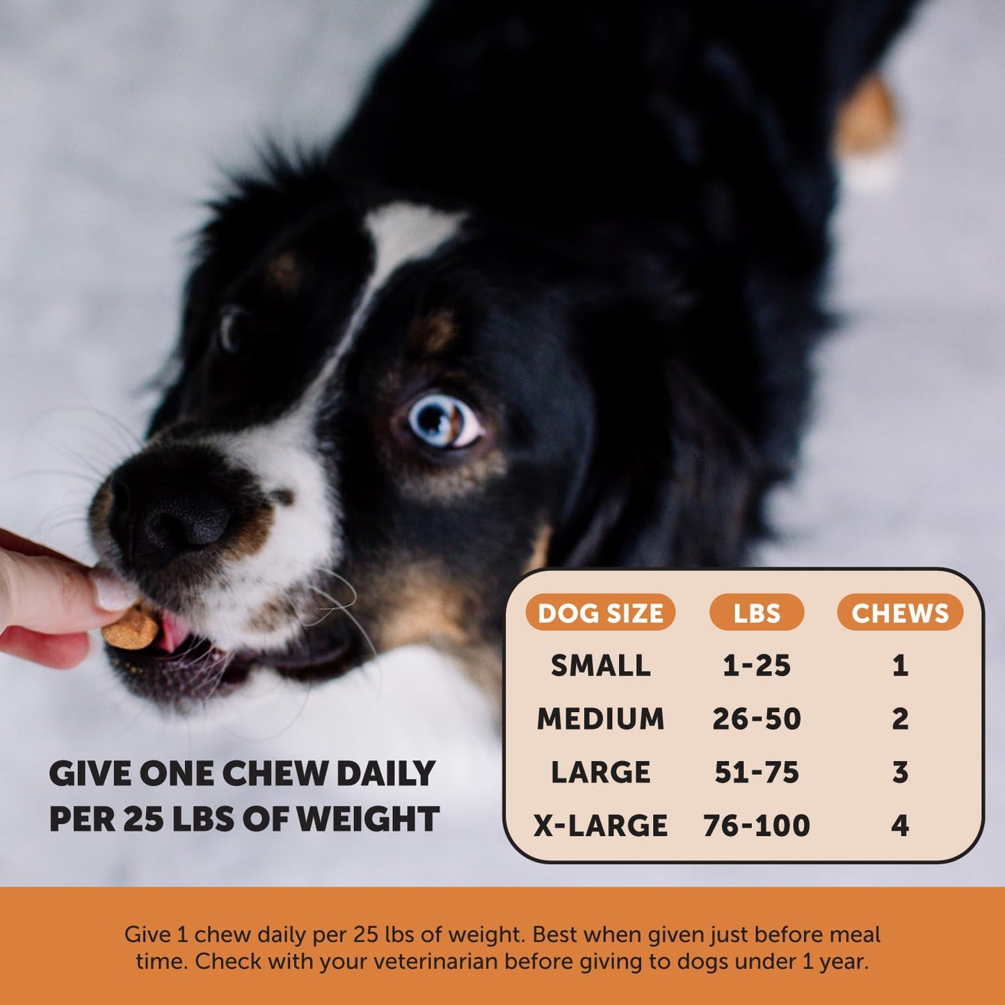 Pet Honesty Hip & Joint Health Max Strength – Dog Joint Support Chews with Glucosamine Chondroitin & Omega-3s – Joint Supplement for Dogs to Support Mobility, Flexibility & Comfort – Bacon (90 ct) Pet HonestyBuy Supplements Australia