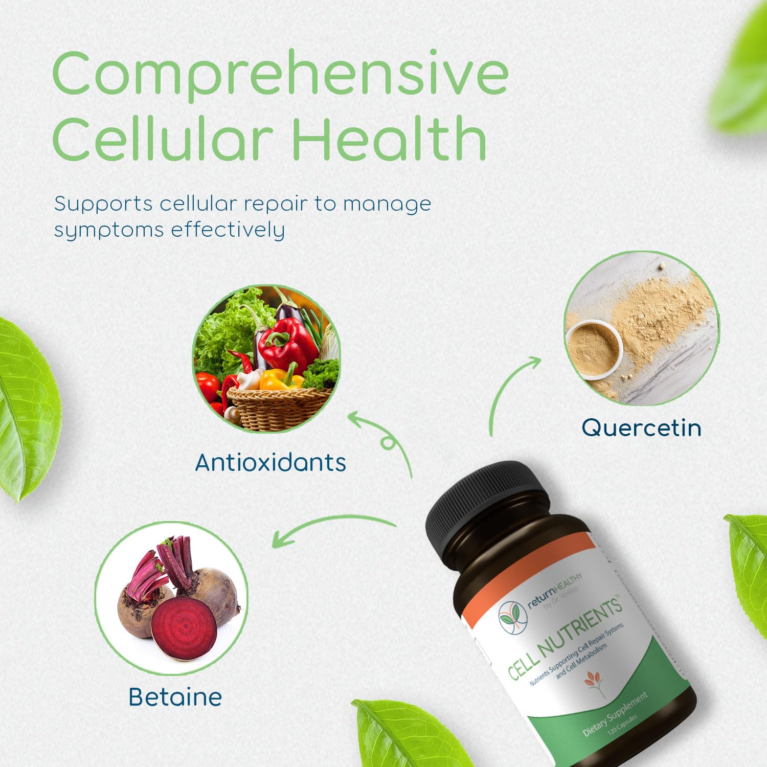 Return Healthy Cell Nutrients | Promotes Cell and Membrane Repair & Cell Metabolism | Helps Fight Tick-Borne Infections & More | Mitochondrial Supplements | Non-GMO, Vegan, 120 caps Return HealthyBuy Supplements Australia