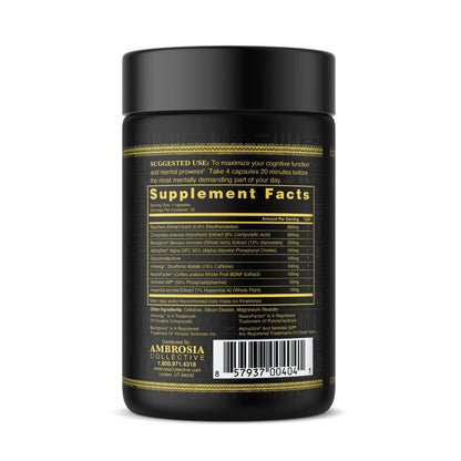 Ambrosia Mental Jewels (Capsules) - Cognitive Enhancer | Increase Memory, Communication Skills, Concentration & Focus | Alpha GPC, Choline, BaCognize AmbrosiaBuy Supplements Australia