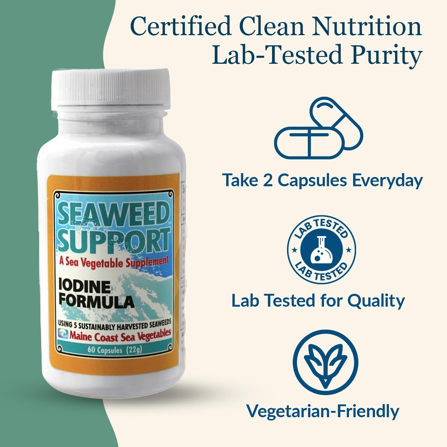 Maine Coast Sea Vegetables Seaweed Support Iodine Formula | Source of Iodine from Seaweed | Daily Use Iodine Supplement | Organic Alaria, Rockweed, Sea Lettuce, Dulse & Bladderwrack blend | 60 Capsule Maine Coast Sea VegetablesBuy Supplements Australia