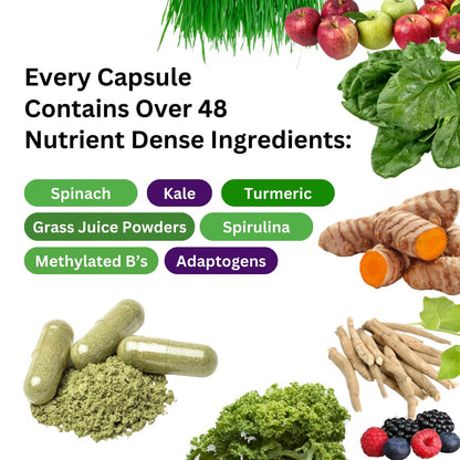 Paradise Herbs Earth's Blend Once Daily Multivitamin with Iron, 48 Organic Superfoods, Probiotics, Antioxidants, Vitamins A, B12, C, D, K2, 60 Capsules Paradise HerbsBuy Supplements Australia