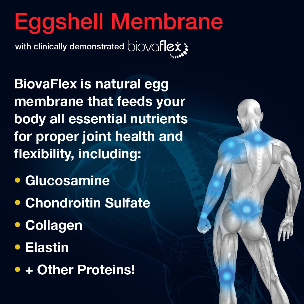 Aurora Nutrascience Micro-Pack Liposomal exoFlex+ with Vitamin C, Supports Joint Flexibility & Function, BiovaFlex Eggshell Membrane, Curcumin & Boswellia, Strwaberry Flavor, 30 Servings, 10 fl oz Vida LifescienceBuy Supplements Australia