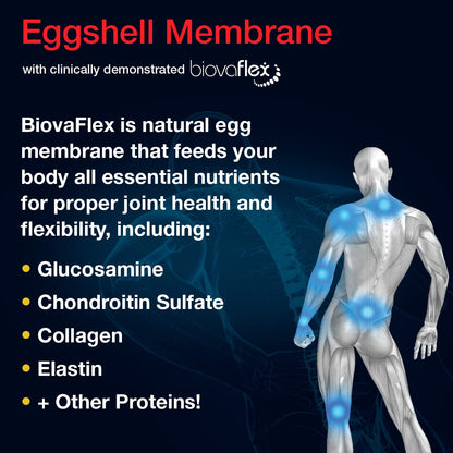 Aurora Nutrascience Micro-Pack Liposomal exoFlex+ with Vitamin C, Supports Joint Flexibility & Function, BiovaFlex Eggshell Membrane, Curcumin & Boswellia, Strwaberry Flavor, 30 Servings, 10 fl oz Vida LifescienceBuy Supplements Australia