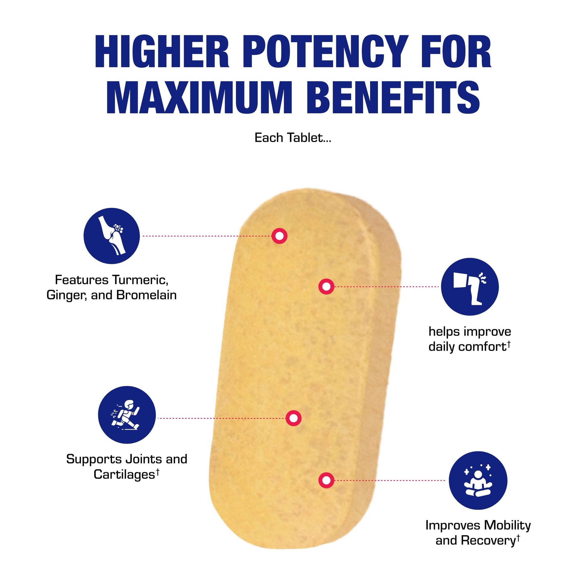 Pro ENZ Joint Support Supplement - Clinical Formula Turmeric Boswellia Supplement for Joint & Cartilage Mobility and Comfort Support Plus Eicosanoid Management with Proteolytic Enzymes (120 Servings) Anabolic LaboratoriesBuy Supplements Australia