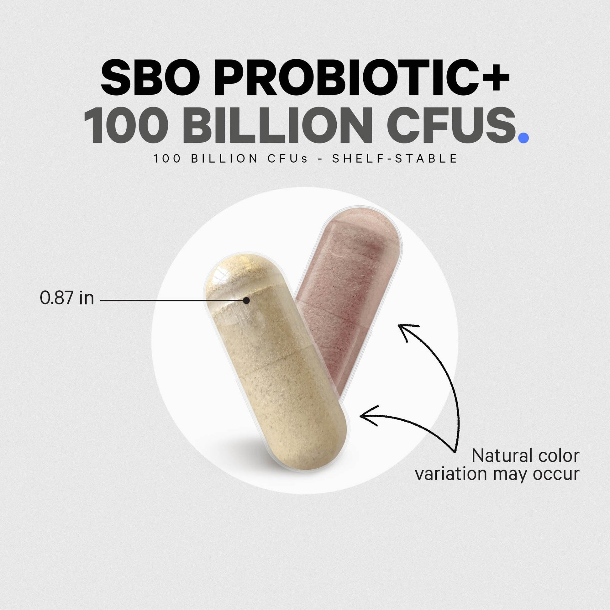 Codeage SBO Probiotics, 100 Billion CFUs Per Serving, Multi Strain Soil Based Organisms Blend and Organic Fermented Botanical Blend, Shelf-Stable, 90 Capsules CodeageBuy Supplements Australia