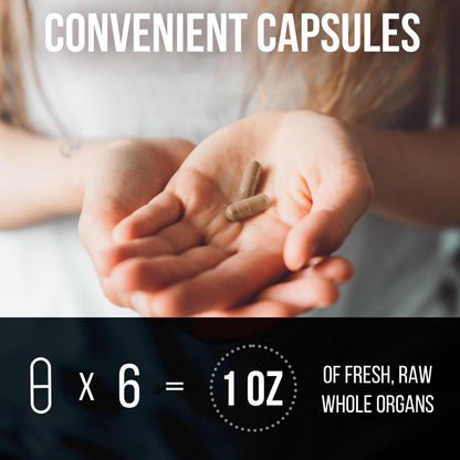Beef Organ Supplement Complex - 10 Carnivore Grass Fed Proprietary Blend of Liver, Marrow, Brain, Thymus, Spleen, Kidney, Colostrum, Heart, Pancreas, Gallbladder - 180 Caps Carnivore MethodBuy Supplements Australia